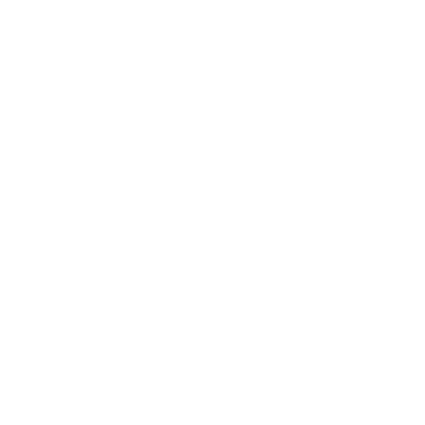 Zef Eisenberg