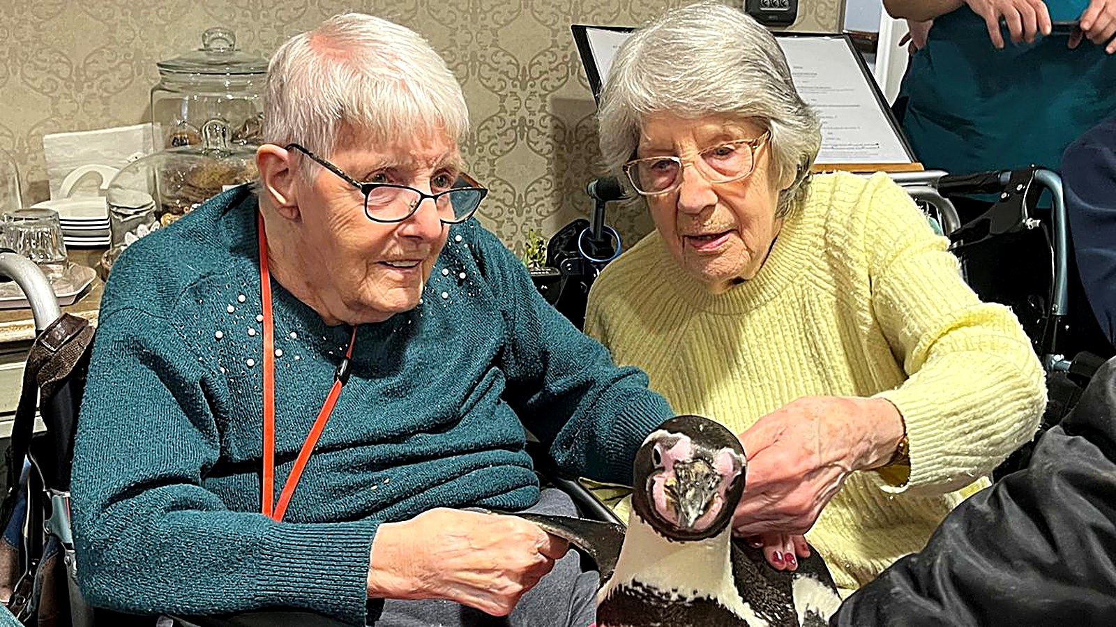 Berkley Care Group featured in The Mirror
