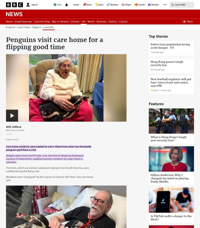 An elderly woman smiles while interacting with two penguins in a care home setting. Another resident looks on, visibly amused. The scene highlights a joyful event organized for residents.