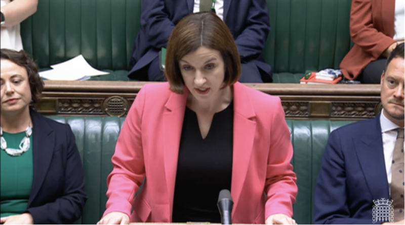 A woman in a pink blazer delivers a speech at a podium in a parliamentary setting, with members of the assembly seated behind her.