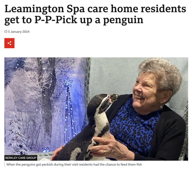 Screenshot of BBC article featuring penguins visiting Berkley Care Home