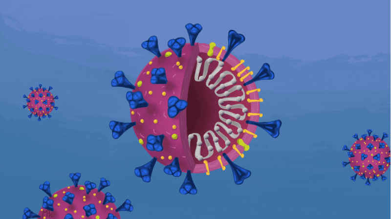 Colorful 3D representation of viruses with a pink outer layer, blue spikes, and inner genetic material, set against a blue background.