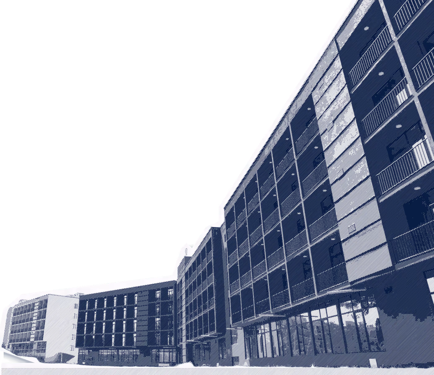 Kutaisi International University case study